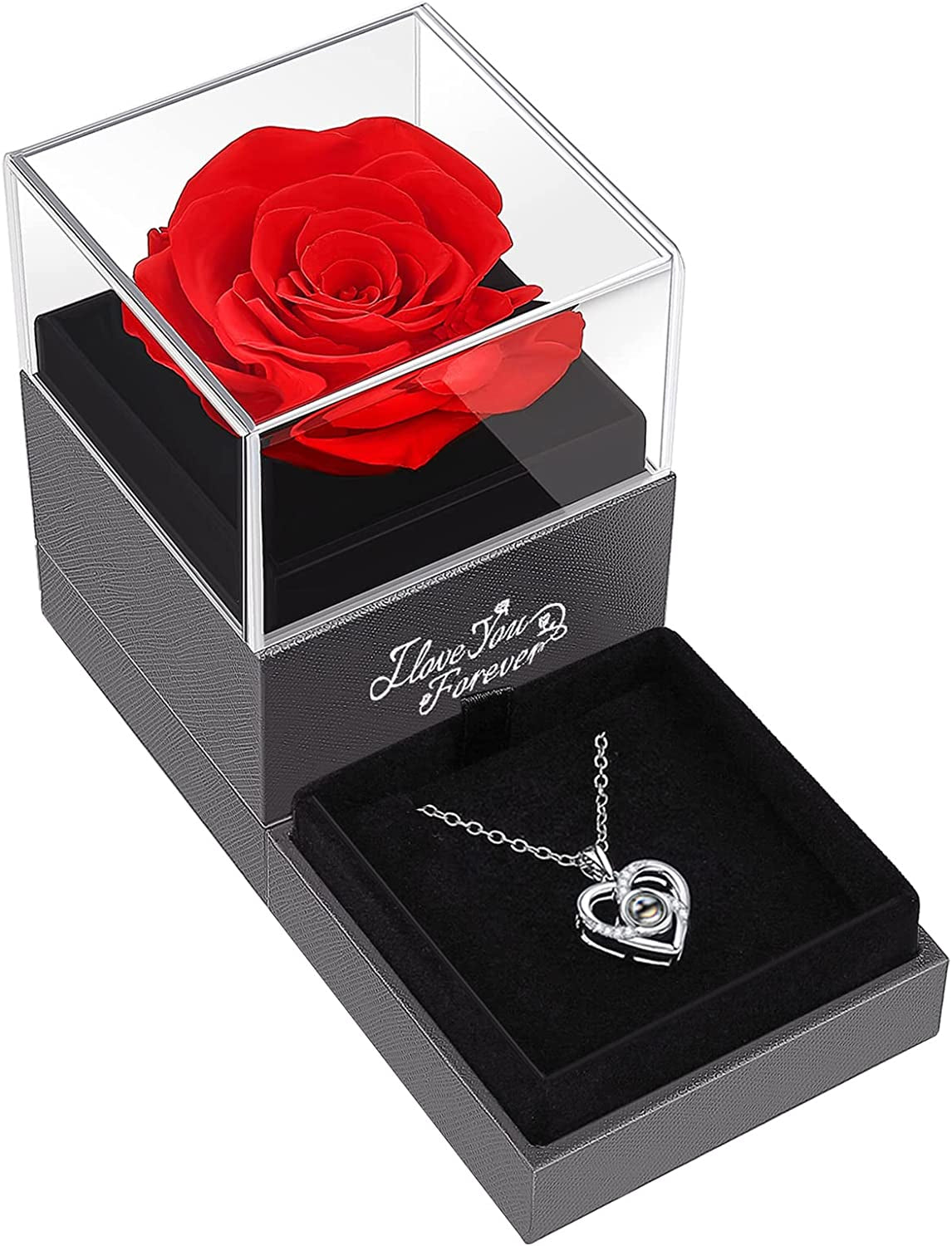 Beautiful Preserved Real Red Rose with I Love You Necklace 
